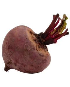 Beetroot
