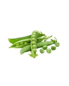 Fresh Green Peas (Pachai Pattani)