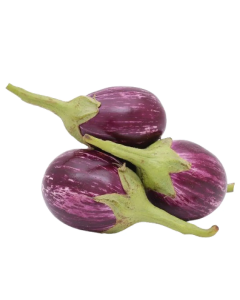 Brinjal Vari