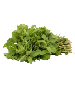 Mint Leaves (Pudina)