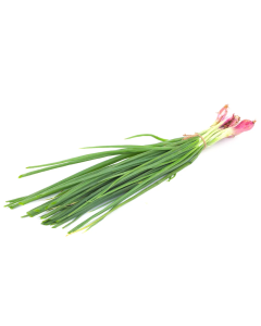 Spring Onion (Vengaya Thaal)