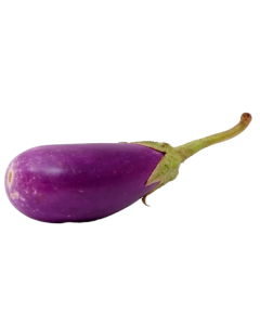 Brinjal Ujala (katirikai)