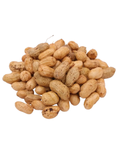 Fresh Groundnut (Verkadalai)