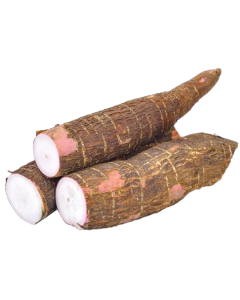 Fresh Tapioca (Maravalli)