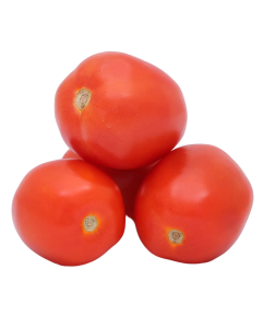 Tomato Hybrid (Bangalore Thakkali)