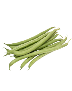 Beans Bush