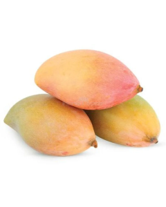 Totapuri Mango(Ripe)