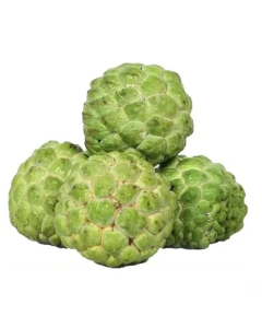 Custard Apple (Seetha Pazham)