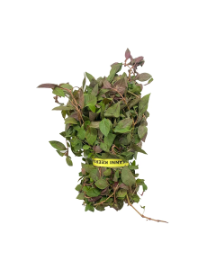 Spinach red ponnanganni (Ponnanganni Keerai Red)