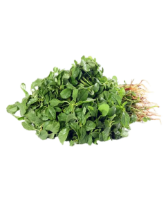 Amaranthus Leaves (Siru Keerai)