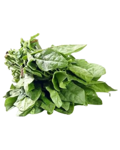 Greens Pasalai (Greens Pasalai)