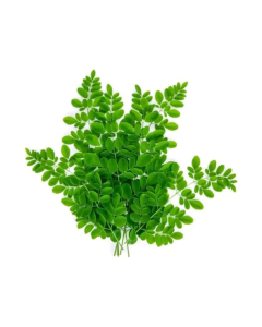 Drumstick Leaves (Murungai Keerai)