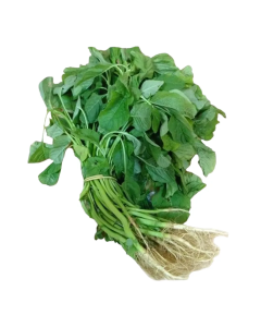 Green Amaranth (Mulai Keerai)